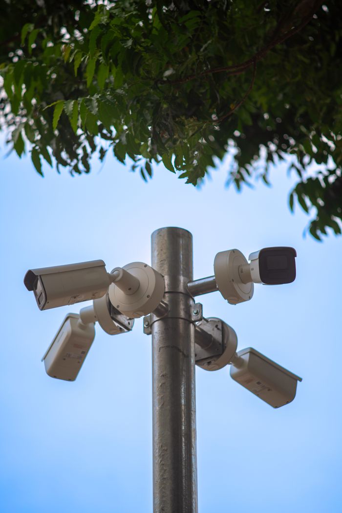 Multiple security cameras mounted on a metal pole under a tree, ensuring public safety.